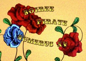 Lire la suite à propos de l’article SOIREES PIRATE #15